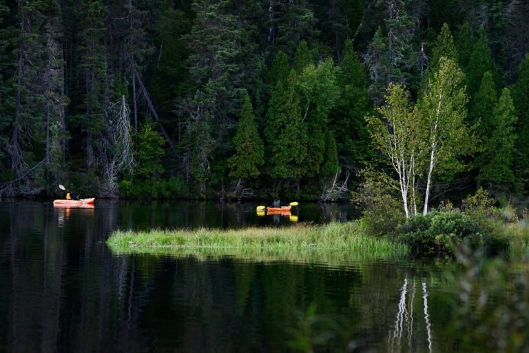 kayak, lake, trees-7432917.jpg